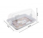 Vicenza Tempat Kue dengan Tutup Geser Motif Magnolia P139