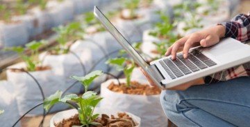 Membangun Jejaring dengan Petani Lokal untuk Bisnis Makanan Organik
