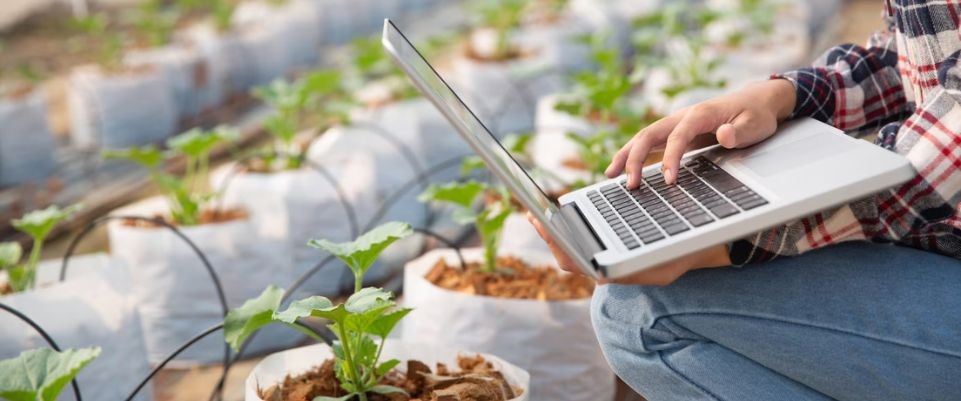 Membangun Jejaring dengan Petani Lokal untuk Bisnis Makanan Organik